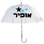 דגם כוכב