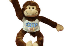 דגם יהלי